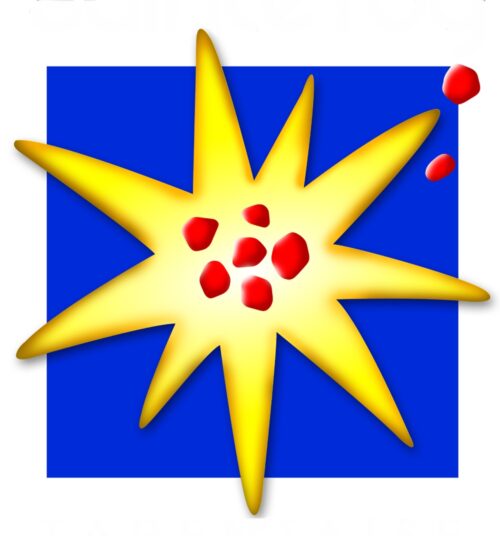 Ste.Foy logo